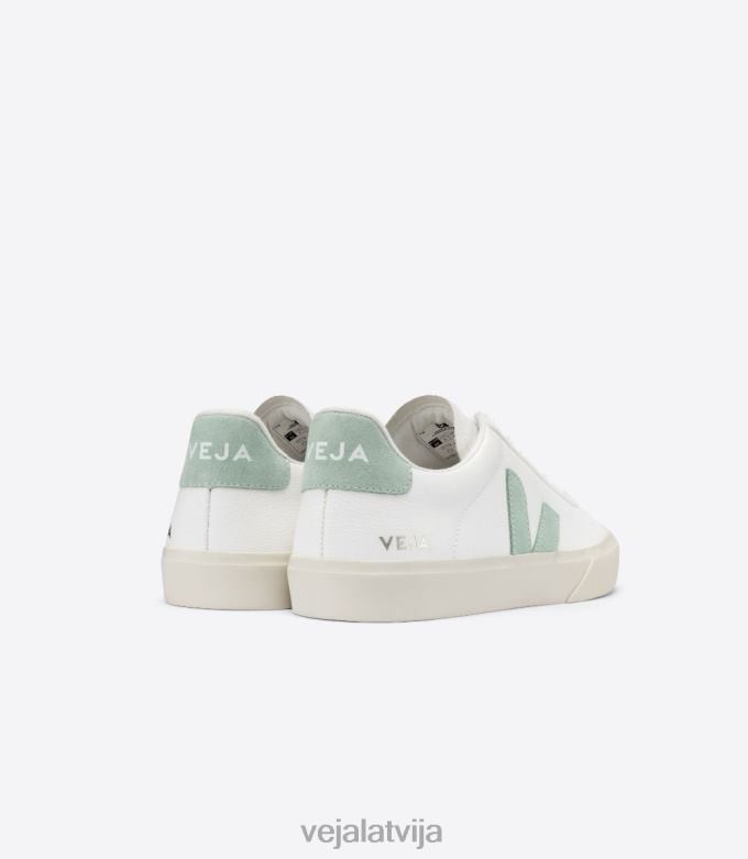 Veja vīriešiem campo bezhroma ādas balta matcha 4846D17 kurpes