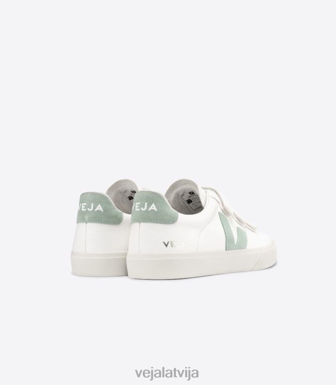 Veja vīriešiem recife bezhroma ādas balta matcha 4846D109 kurpes